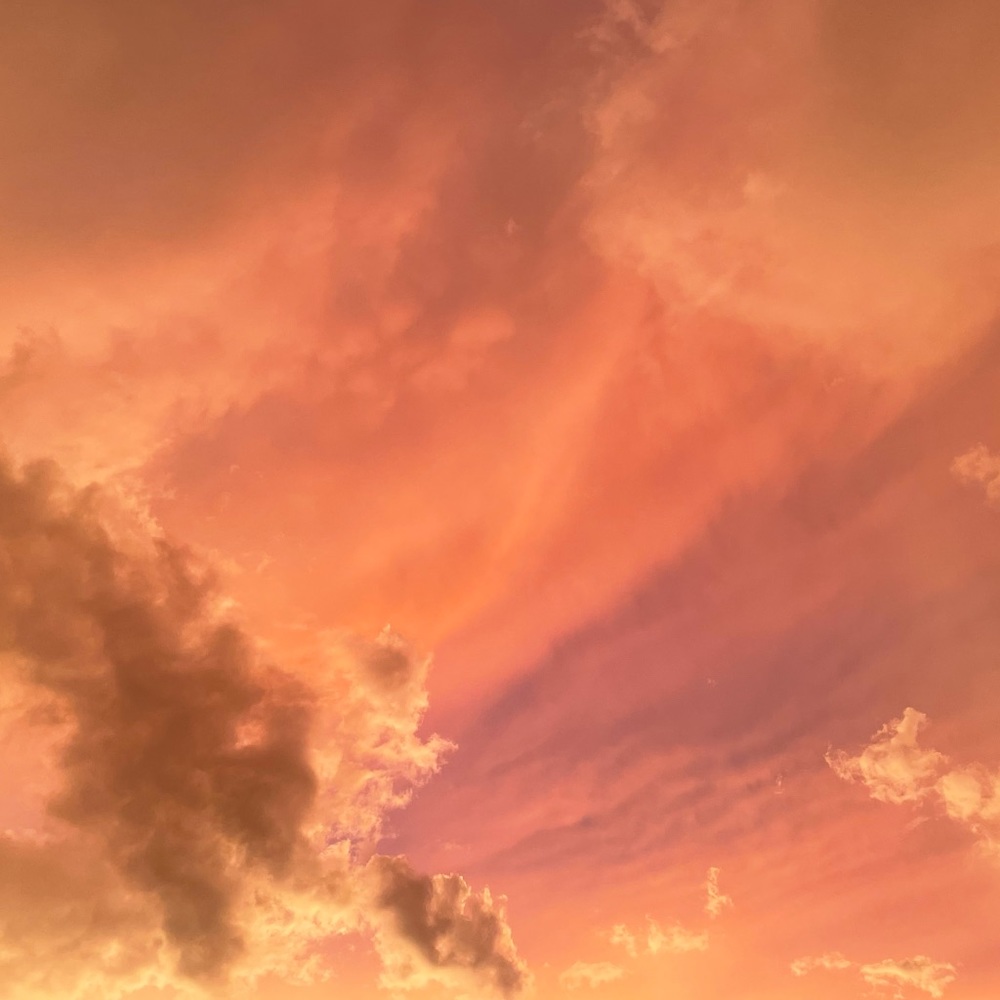 Meet your Posher, Brynn